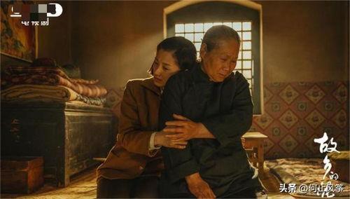 电视剧故土在线观看,寻根之旅，情感交织的岁月画卷